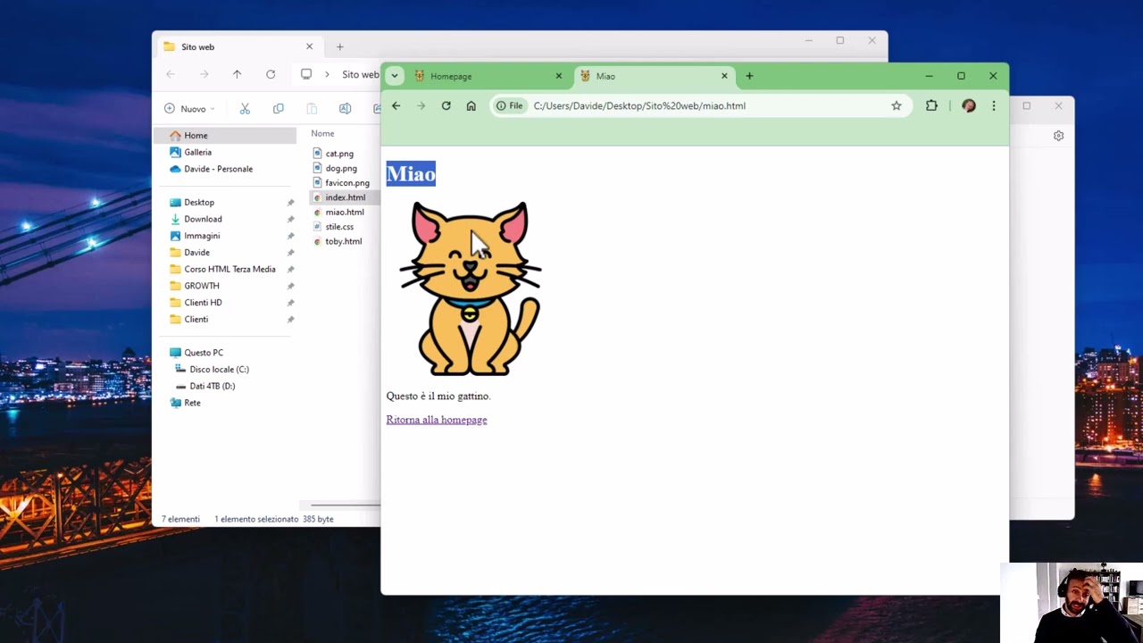 YouTube video player